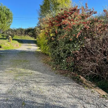 Le Petit Chai Fronsadais Casa de Férias Saint-Michel-de-Fronsac