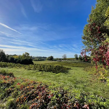Casa de Férias Le Petit Chai Fronsadais *