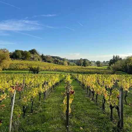 Le Petit Chai Fronsadais * Saint-Michel-de-Fronsac