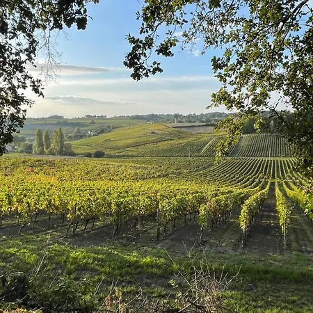 Le Petit Chai Fronsadais Casa de Férias *