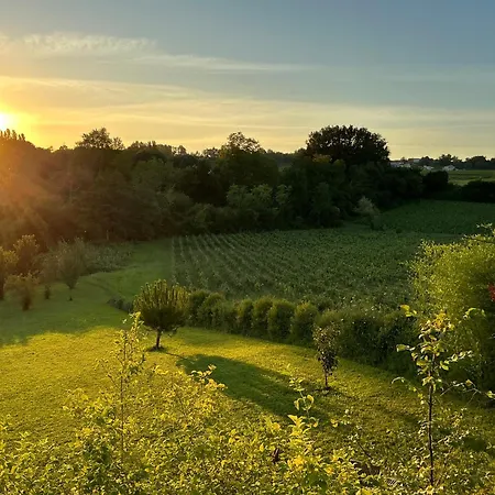 Casa de Férias Le Petit Chai Fronsadais