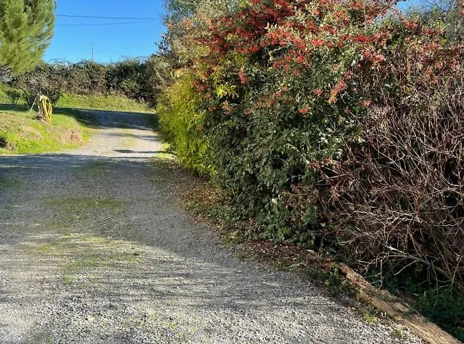 Le Petit Chai Fronsadais Сasa de vacaciones Saint-Michel-de-Fronsac