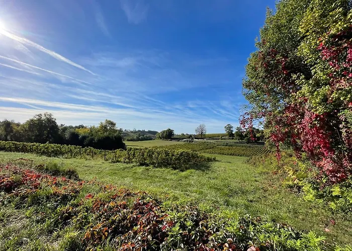 Сasa de vacaciones Le Petit Chai Fronsadais *