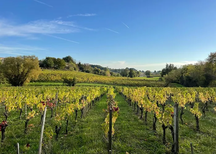 Le Petit Chai Fronsadais * Saint-Michel-de-Fronsac