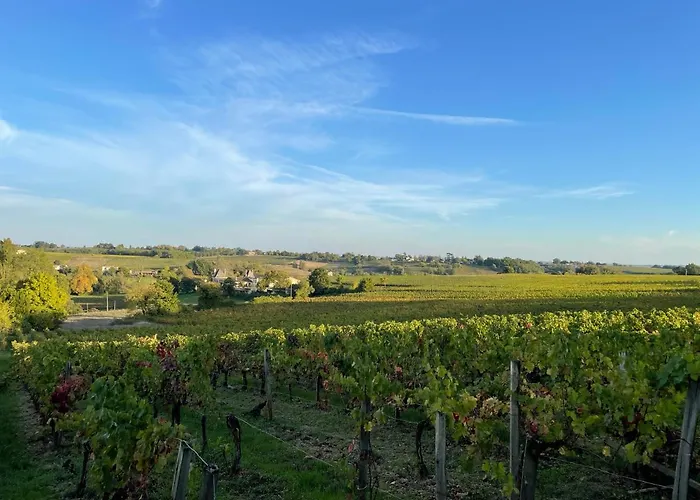 Le Petit Chai Fronsadais Saint-Michel-de-Fronsac