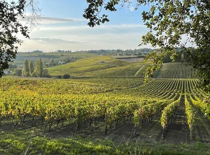 Le Petit Chai Fronsadais Сasa de vacaciones *