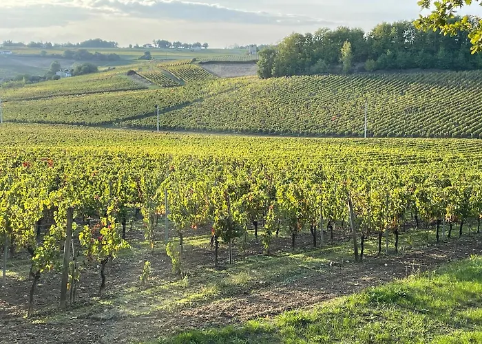 Сasa de vacaciones Le Petit Chai Fronsadais Saint-Michel-de-Fronsac