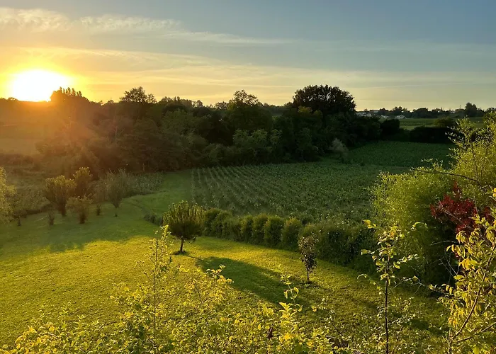 Сasa de vacaciones Le Petit Chai Fronsadais