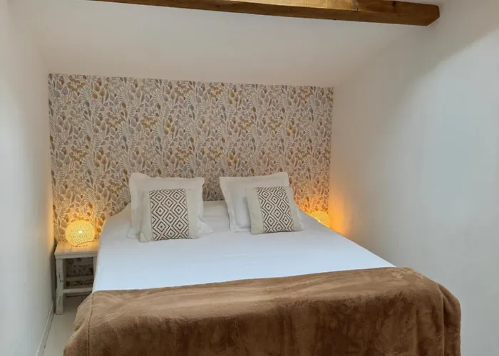 Le Petit Chai Fronsadais Сasa de vacaciones